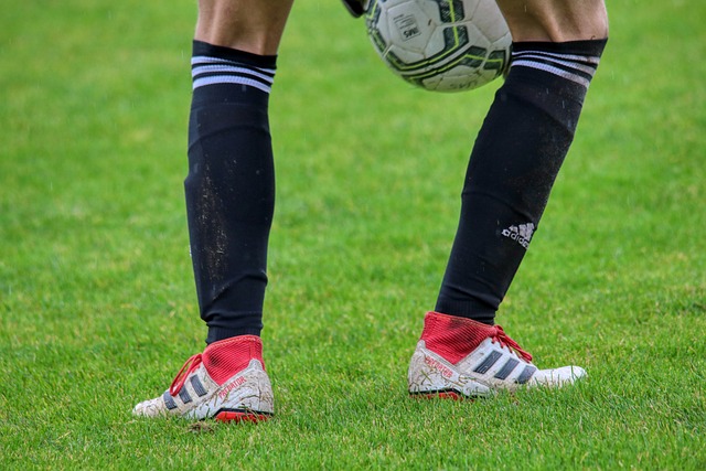 张鼐在腿部 张鼐在腿部