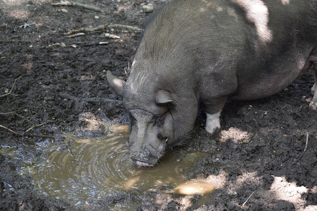 马竞不仅是 马竞不仅是