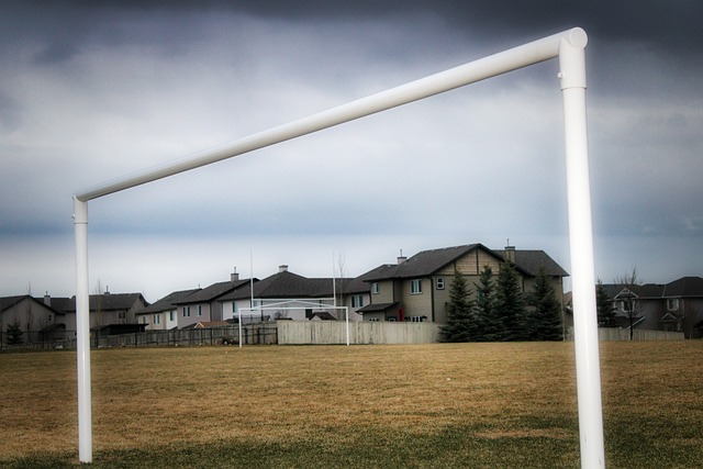 朱婷回归有 朱婷回归有