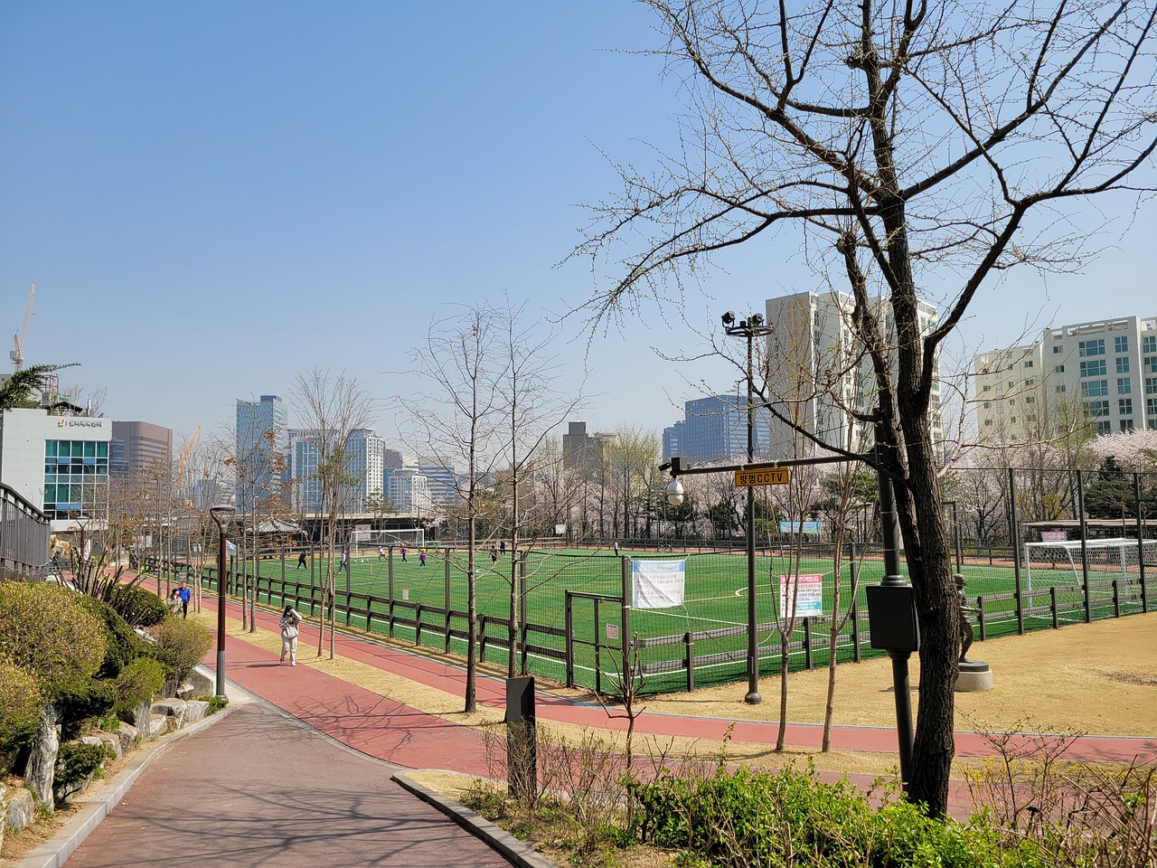 己的实力 己的实力